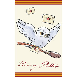 Carbotex Ręczniczek do przedszkola 30x50 Harry Potter dziecięcy