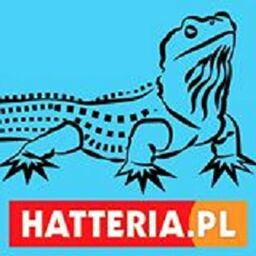 V KWARTET SMYCZKOWY Grażyna Bacewicz