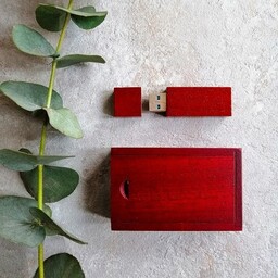 Pakamera Pendrive SteamMEMORY of Wood - grawer