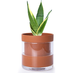 Phoenix Vine Samonawadniająca się doniczka na rośliny, terakota,