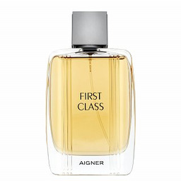 Aigner First Class woda toaletowa dla mężczyzn 100