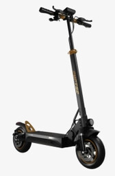 Ruptor R1 Lite v2 500W 60km 10" Miedziany