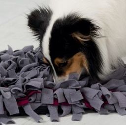 TRIXIE Mata węchowa Sniffing Carpet, 50 x 34cm