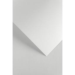 Karton Ozdobny 220g/m2 Kratka Biały 20 arkuszy A4