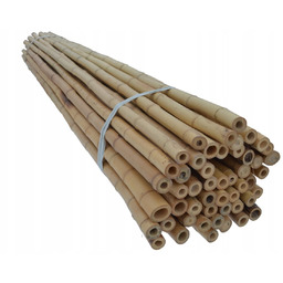 Tyczki bambusowe 180 cm 30/35 mm /10 szt/