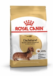 Royal Canin DACHSHUND - 500g