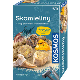 Kosmos, zestaw archeologiczny, Skamieliny