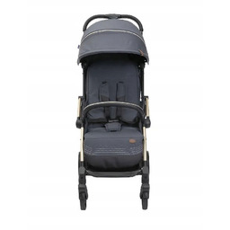 Chicco Goody XPlus Wózek spacerowy Dark shadow