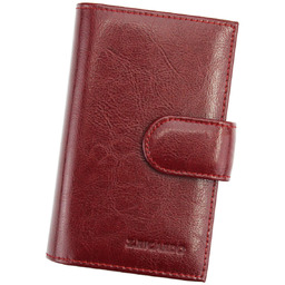 Skórzany damski portfel Z.Ricardo 094