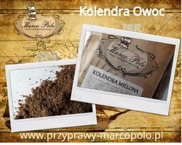 Kolendra Owoc Mielony 40g