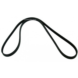 Pasek alternatora Nissan Quest -1997