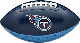 Wilson Mini NFL Team Peewee