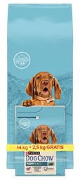 PURINA Karma dla psa Dog Chow Puppy Jagnięcina