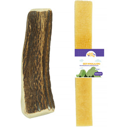 Zestaw naturalnych gryzaków dla psa poroże + ser