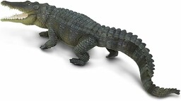 Krokodyl spacerowy