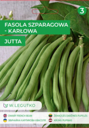 W.Legutko - Fasola zwykła Jutta 25g