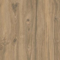 Gres tarasowo-balkonowy 2.0 VENTWOOD light brown mat 59,3x59,3