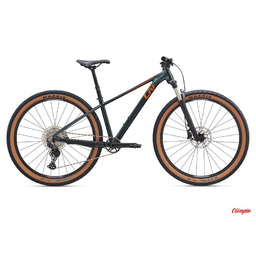 Giant Rower Liv Tempt 0 29 Asphalt Green