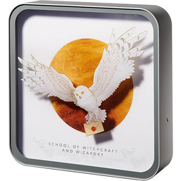 NUMSKULL Oficjalne akrylowe logo Hedwig lampa biurkowa lampa