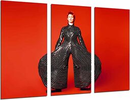 Obraz ścienny - David Bowie, słynne spodnie, czerwony,