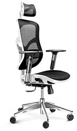Fotel ergonomiczny Diablo V-Basic biało-czarny
