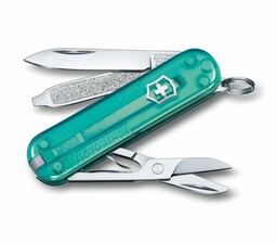 Victorinox Scyzoryk Classic Sd 0.6223.t24g