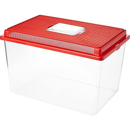 Ferplast Geo Extra Large Tank akwarium z tworzywa