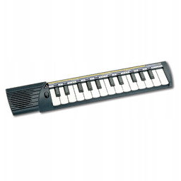 Organy Bontempi 15250