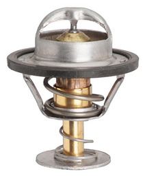 Termostat 13889