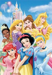 Plakat 3D Disney Princess Zamek z akcesoriami wielokolorowe