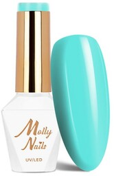 Lakier hybrydowy LED/UV Gel Polish Molly Nails Fancy