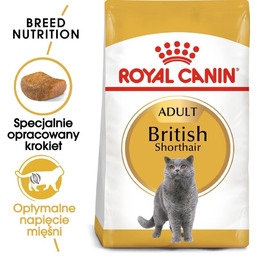 ROYAL CANIN British Shorthair Adult 4kg