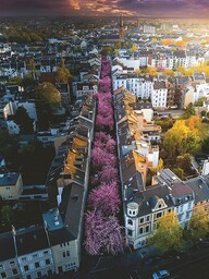 Ravensburger 12000730 - Bonn. Niemcy - puzzle 1500