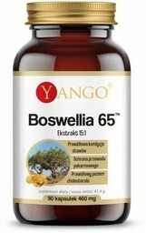 YANGO Boswellia 65 (90 kaps.)