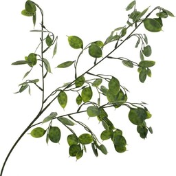 GAŁĄZKA JUDASZOWE SREBRNIKI 75 CM