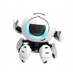 Bitsy - inteligentny robot dla dzieci