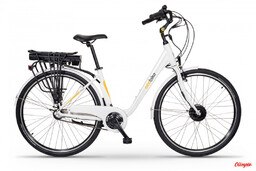 Ecobike Rower elektryczny Basic, LG 36V 16 Ah