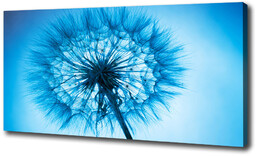 Foto obraz canvas Dmuchawiec