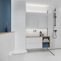 Płytka ścienna SIMPLE ART white glossy 20x60 #011