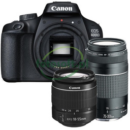 Canon EOS 4000D + 18-55 DC III +