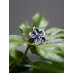 Pierścionek srebrny - Dalia