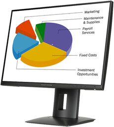 HP Z24n