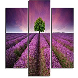 Homemania Fioletowy obraz 3-częściowy-natura i krajobrazy-przez salon, sypialnia-wielokolorowe,