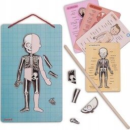 Układanka magnetyczna Ciało Człowieka Janod J05491