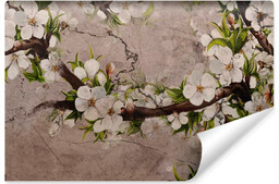Muralo Fototapeta Do Salonu Abstrakcyjne Kwiaty Wiśni 208x146cm