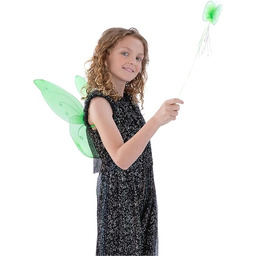 Butterfly Wings and Wand