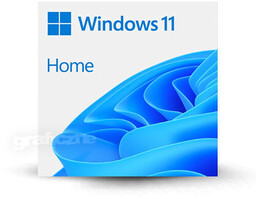 Microsoft Windows 11 Home All Language ESD