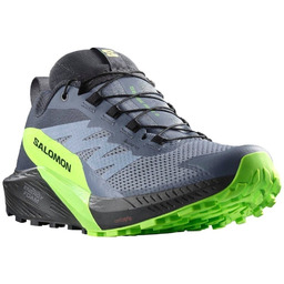 Buty Salomon Sense Ride 5 Gtx 473128