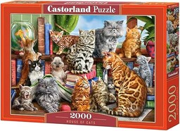 Castorland C-200726-2 House of Cats, puzzle 2000 elementów,