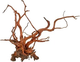 Amtra Drewno Red Pająk Król, rozmiar M 45-75